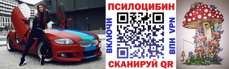 мориарти как зайти  Мышкин  Галлюциногенные грибы прущие грибы 